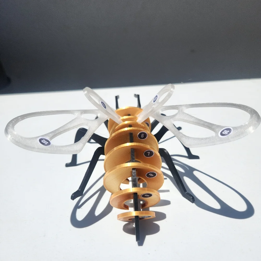 Bee Model Honeybee 3D Puzzle Honey Bees Classroom Science STEM Craft Insect Bugs